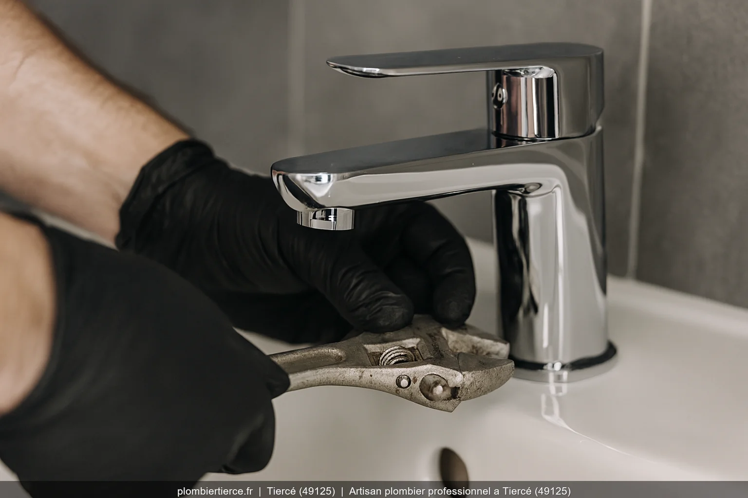 Artisan plombier professionnel a Tiercé (49125)
