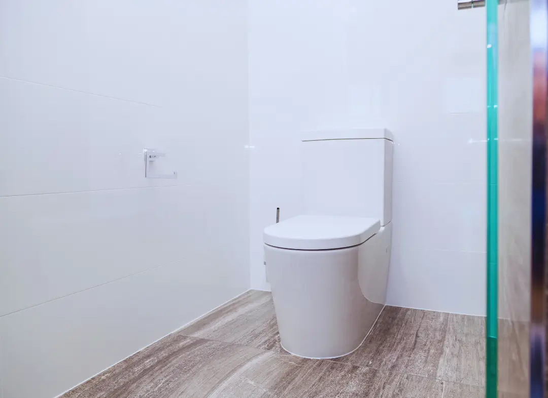 Remplacement de wc Tiercé